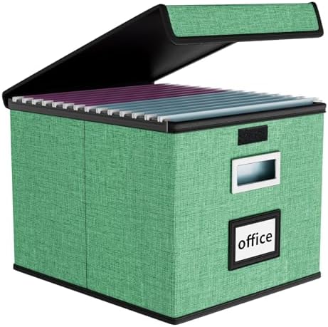 File Organizer Box with Lids, Collapsible File Folder Organizer