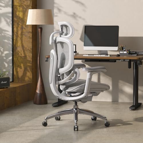 SIHOO Doro C300 Pro V2 Ergonomic Office Chair, Full-Body Adaptive Support