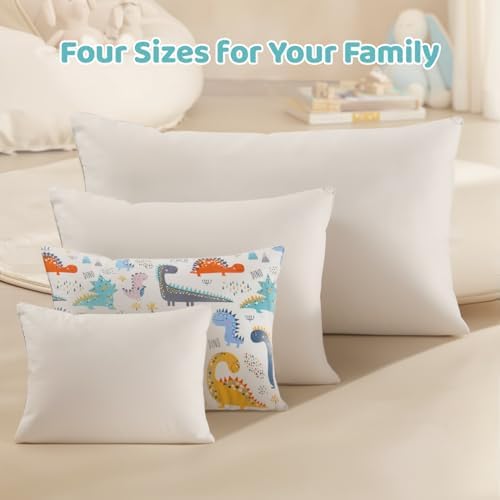 Organic Plilow with Cartoon Pillowcase - 16x22 Kids Pillow with 100% Organic Cotton Shell, Adjustable Organic Youth Pillow, Machine Washable, Soft,for Kids&Youth&Children (Dinosaur)