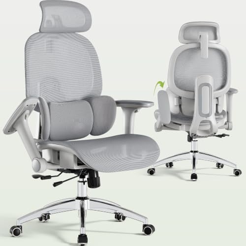 X19 Ergonomic Office Chair, 3-Zone Lumbar for Back Pain Relief