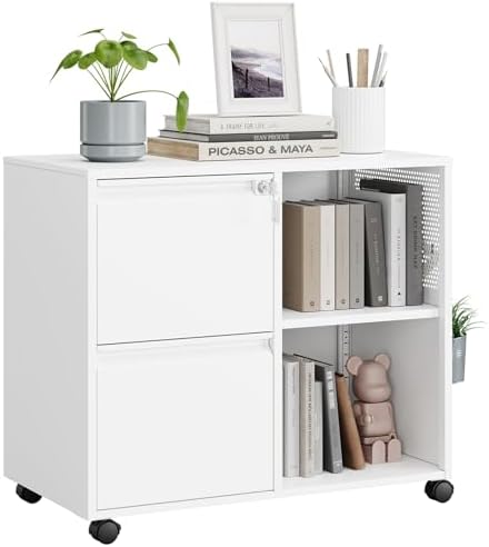 MIIIKO 2 Drawer File Cabinet with Lock, Metal Rolling Printer Stand Filing Cabinets with Drawers for Home Office,A4, Letter Size File Folders(White)