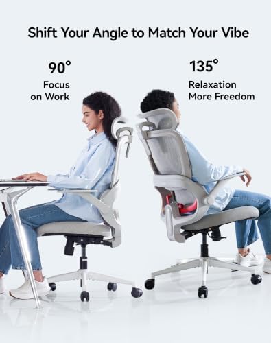 SIHOO B100 SE Soft Ergonomic Office Chair, Desk Chair with Lumbar Support