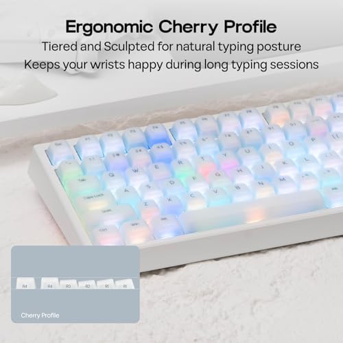 EPOMAKER AegisSil Keycap Set, Silicone Material, Cherry Profile, 113 Keys, 65%/75%/Full Size, Custom Keyboard Keycaps Set for Cherry MX, Kailh, Outemu, Gateron Mechanical Gaming Keyboard (White)