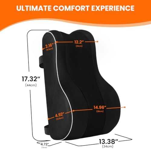 CloudBliss Lumbar Support Pillow, Memory Foam for Office, Standard, Black