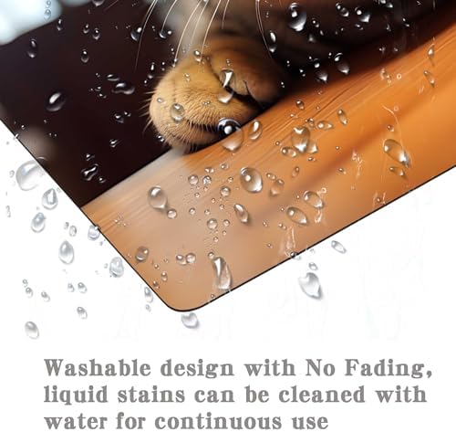 Cute Cat Square Mouse Pads for Wireless Mouse,Small Office Computer Mousepad for Desk Laptop,Non-Slip Rubber Base Mouse Pads for Desk Laptop Computer