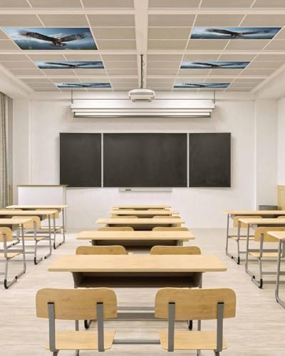 Eagle Magnetic Fluorescent Light Covers for Ceiling Lights 2 x 4 Feet,Forest Mountains Range Sky Animal Natural Landscape Office Classroom Kitchen Drop Ceiling Light Covers Filters Shade Panel 4 Packs