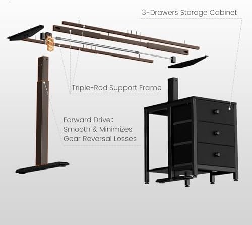 REAHOME 55 Inch Black Electric Height Adjustable Standing Desk with Drawers