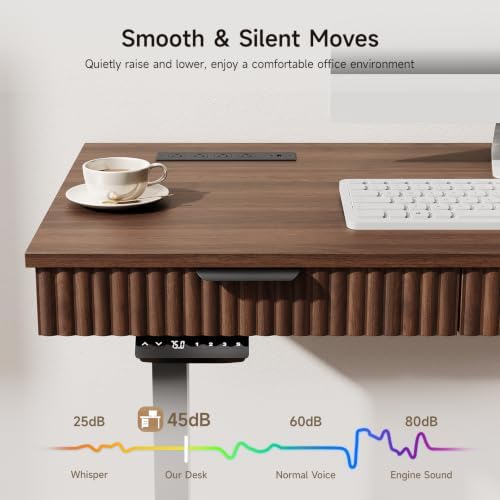 ONBRILL 55" Electric Standing Desk with File Cabine, Sit to Stand, Walnut