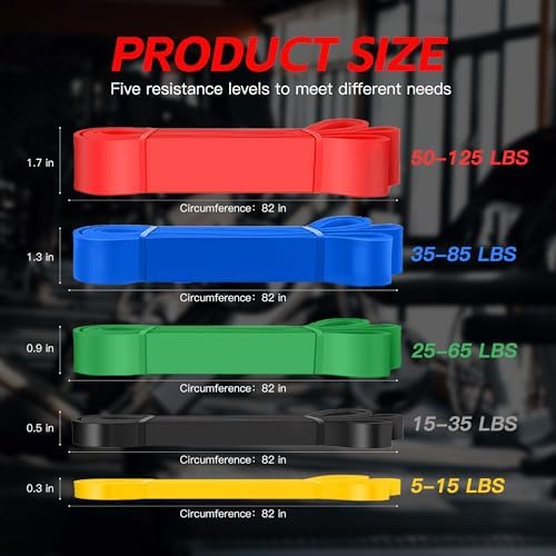 Pull Up Bands, Resistance Bands Set, Exercise Workout Bands for Men & Women, Ideal for Body Stretching, Physical Therapy and Muscle Training