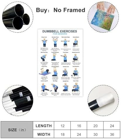Dumbbell Exercises for Seniors 16 Step Seated And Standing Strength Workout Balance Stability Training Canvas Poster Bedroom Decor Room Decor Unframe 24x36inch