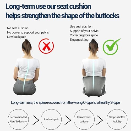 Season Guard Ergonomic Lumbar Support Pillow, Back Pain Posture Corrector