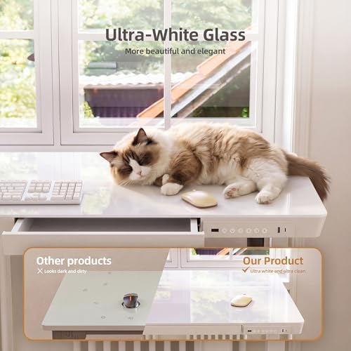 INNOVAR 32" Small Glass Standing Desk with Drawers & USB Ports, Whole-Piece Glass Top Adjustable Height Desks, Quick-Install Electric Sit-Stand Up Desk for Home Office & Computer Workstation, White