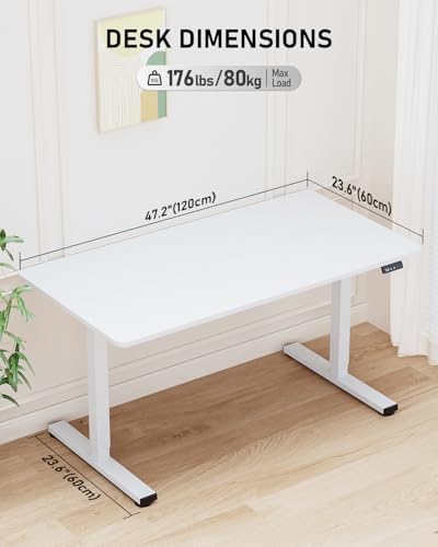 48" Large Electric Standing Desk Adjustable Height for Home Office