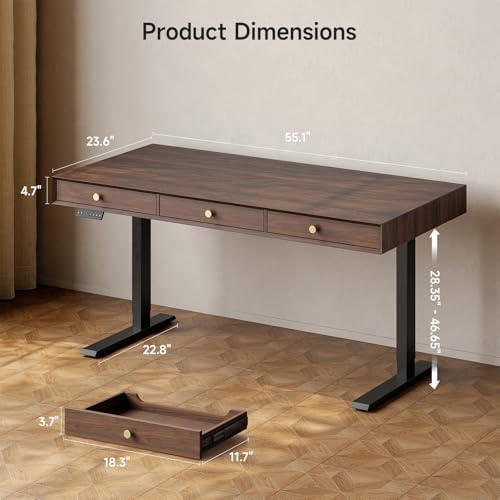 ONBRILL Electric Standing Desk with 3 Drawers, 55x24 Inch Height Adjustable