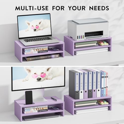 BONTEC Wooden Monitor Stand Riser for Desk, 2-Tier Computer Monitor Stand