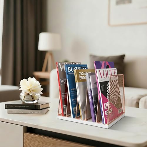 LEKETREE Rose Gold Desk File Organizer, 5-Section Upright File Sorter, Vertical File Folder Holder, Mesh Metal Wood Office Desktop Organization for Document, Magazine, Books and more (Rose Gold)