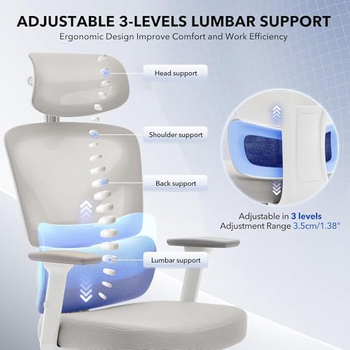 Ergonomic Office Chair with Adjustable Lumbar Support,Grey