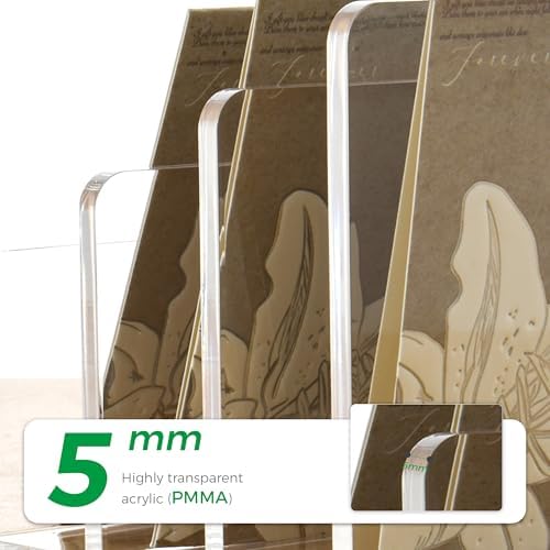 Clear Acrylic 3 Compartment Mail & Letter Organizer for Desk
