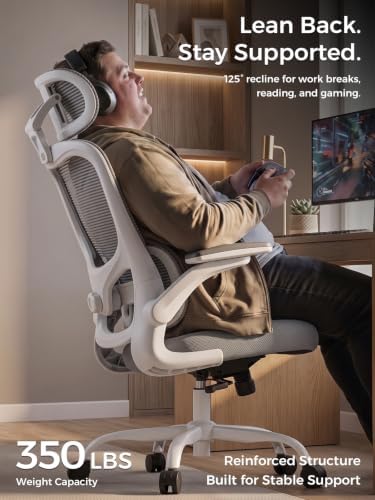 Ergonomic Office Desk Chair, Adjustable Dual Lumbar Support & Thick Seat