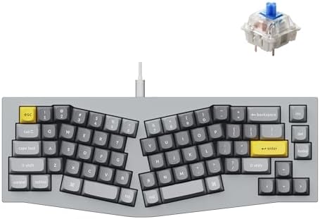 Keychron Q8 Wired Custom Mechanical Keyboard, 65% Alice Layout QMK/VIA Programmable with Hot-swappable Gateron G Pro Blue Switch Double Gasket Compatible with Mac Windows Linux (Grey)