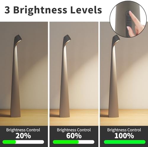 HAPYGI Cordless Rechargeable Reading Metal Table Lamp, 3-Level Brightness
