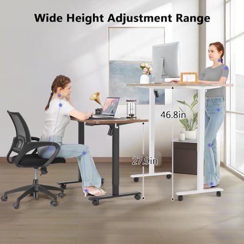 farexon 55x24 Inch Electric Standing Desk with Mouse Pad, Black