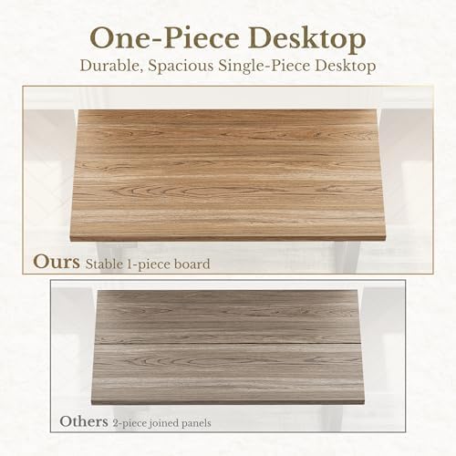 ErGear 48 X 24 Inch Height Adjustable Electric Standing Desk, Natural Oak