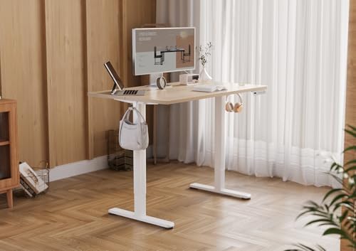 YDN 55 x 24 Inch Nature Electric Standing Desk