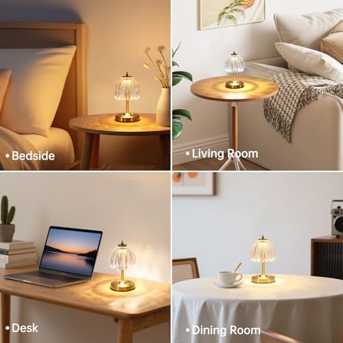 Shenmoyl Set of 2 Tulip Table Lamp with 5200mAh Battery & Touch Control, Cordless Small Table Lamp with 3 Colors, Rechargeable Battery Operated Table Lamps for Nightstand, Bedroom (Transparent Tulip)