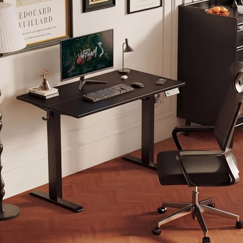 YDN Electric Standing Desk, 40x24 Inch, Black