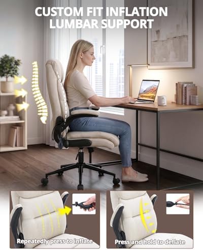 Karl home Ergonomic Office Chair Inflatable Lumbar High Back, Khaki