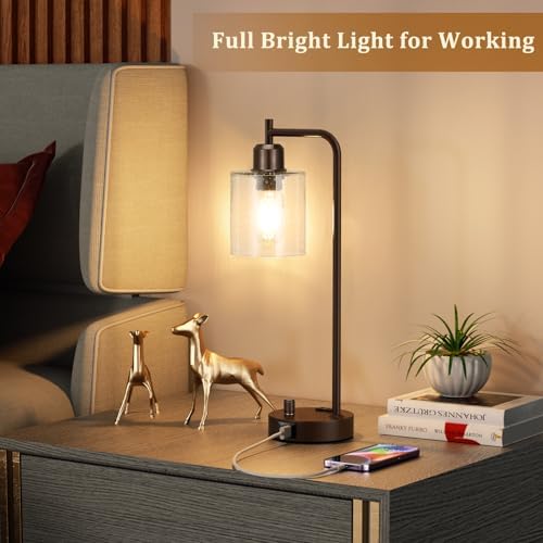Innqoo Brown Industrial Bedside Table Lamp for Bedroom - Nightstand Lamps with USB C Charging Port, Fully Dimmable Black Ports and Outlets, Small Desk Glass Shade Office Living Room