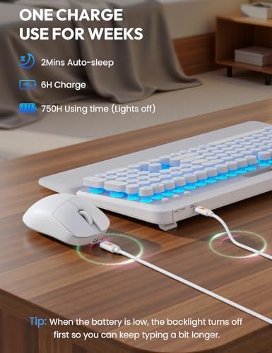 Wireless Keyboard and Mouse, Backlit Typewriter with Magnetic Wrist Rest