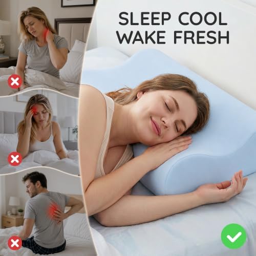 AM AEROMAX Queen Contour Memory Foam Pillow for Neck Pain Relief