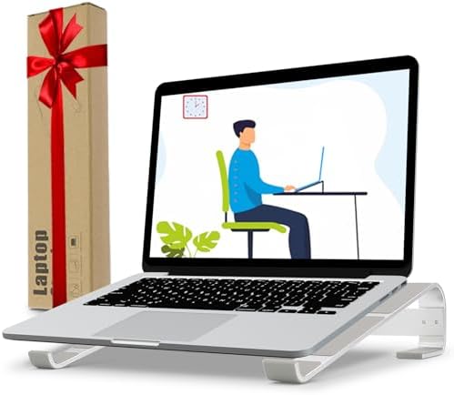 Laptop Stand for Desk, Ventilated Aluminum Laptop Riser, Silver