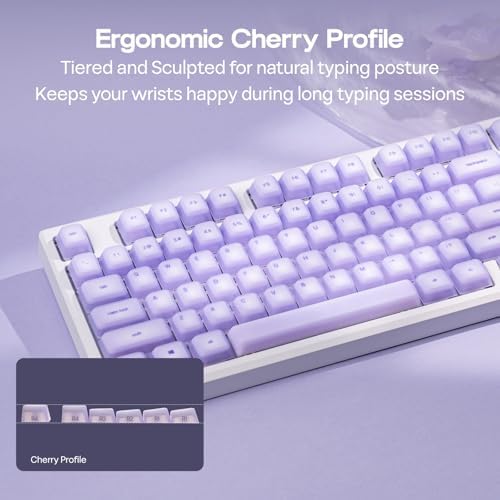 EPOMAKER AegisSil Keycap Set, Silicone Material, Cherry Profile, 113 Keys, 65%/75%/Full Size, Custom Keyboard Keycaps Set for Cherry MX, Kailh, Outemu, Gateron Mechanical Gaming Keyboard (Purple)