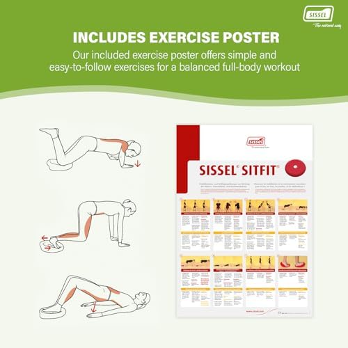 SISSEL SITFIT 13in Blue | Active Sitting & Training | Strengthens Back & Pelvic Floor Muscles | Versatile Use: Legs & Veins | Adjustable Pressure | Includes Exercise Poster
