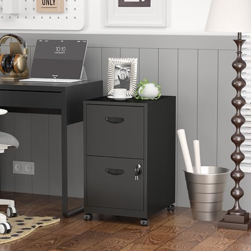 SteeLoong 2 Drawer File Cabinet,Metal Mobile File Cabinet with Lock Black