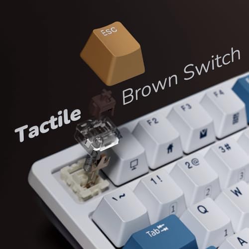 RK ROYAL KLUDGE RK98 Wireless Mechanical Keyboard, 3750mAh, 96% Layout