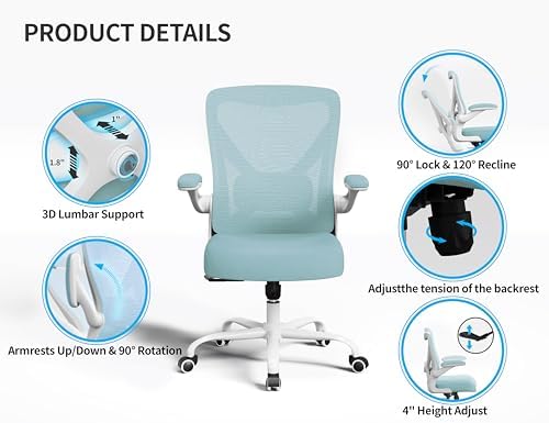 Ergalithic Office Chair: Mesh Ergonomic Desk Chair with 3D Lumbar & Swivel