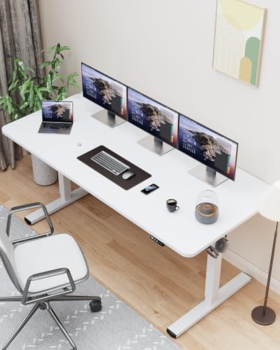 63" Large Electric Standing Desk Adjustable Height for Home Office