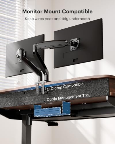 HUANUO 55 x 30 inch Electric Standing Desk with 2 Wood Drawers, Adjustable Height Sit Stand Desk for Home Office, Ergonomic Stand up Desk with 4 Memory Presets, 176 lbs Capacity, Walnut Top