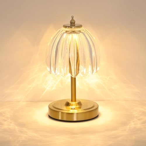 Shenmoyl Tulip Small Table Lamp, 5200mAh Cordless Touch Control Mini Table Lamp with 3 Color Temps & Stepless Dimming, Perfect for Small Spaces like Dressers, Bedsides, Bookshelves (Transparent Tulip)
