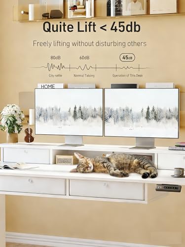 CubiCubi 55" x 30" Standing Electric Desk with Drawers, White
