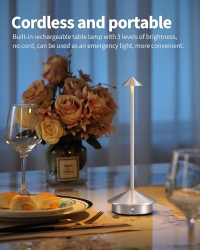 Modern Cordless Table Lamp Set of 2, Brushed Nickel LED Desk Lamps