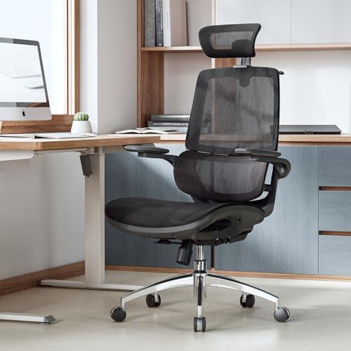 SIHOO M59AS Ergonomic Office Chair, Adaptive Lumbar Support, 2 Packs, Black