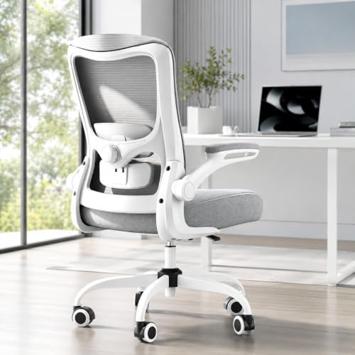 Ergonomic Office Chair for Long Hours, Adjustable Padded Lumbar Support for Lower Back Relief, 330 lb Capacity, Comfortable Computer Desk Chair for Home Office, Work & Study