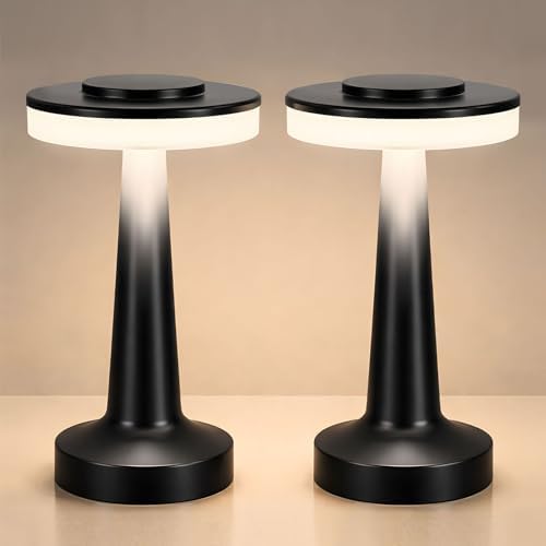 Riakrum 2 Pcs LED Cordless Table Lamp Bulk Rechargeable,Black