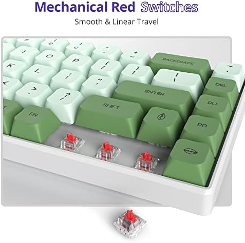 Owpkeenthy Wired 65% Percent Mechanical Gaming Keyboard Matcha Red Switch