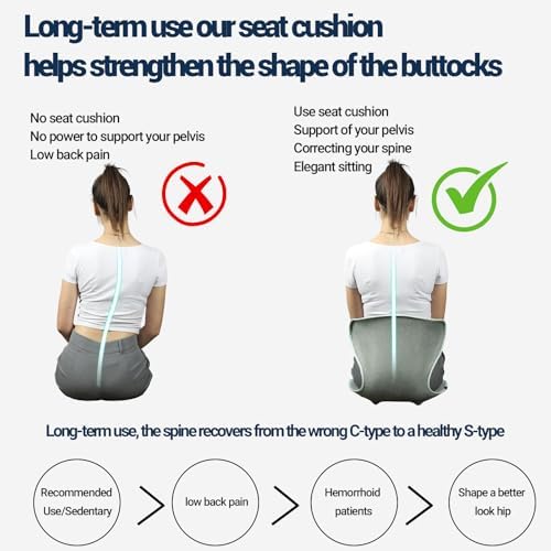 Season Guard Ergonomic Chair Seat Cushion Back Support, Posture Correction Lumbar Support Pillow, Lower Back Pain Relief for Car Driving, Office Chair, Green